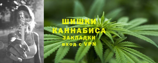 сатива Абинск