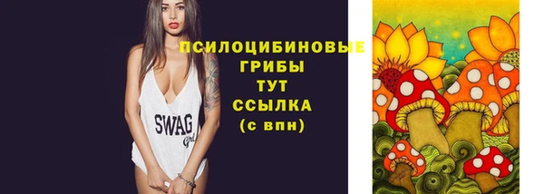 хмурый Нея