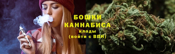 хмурый Нея